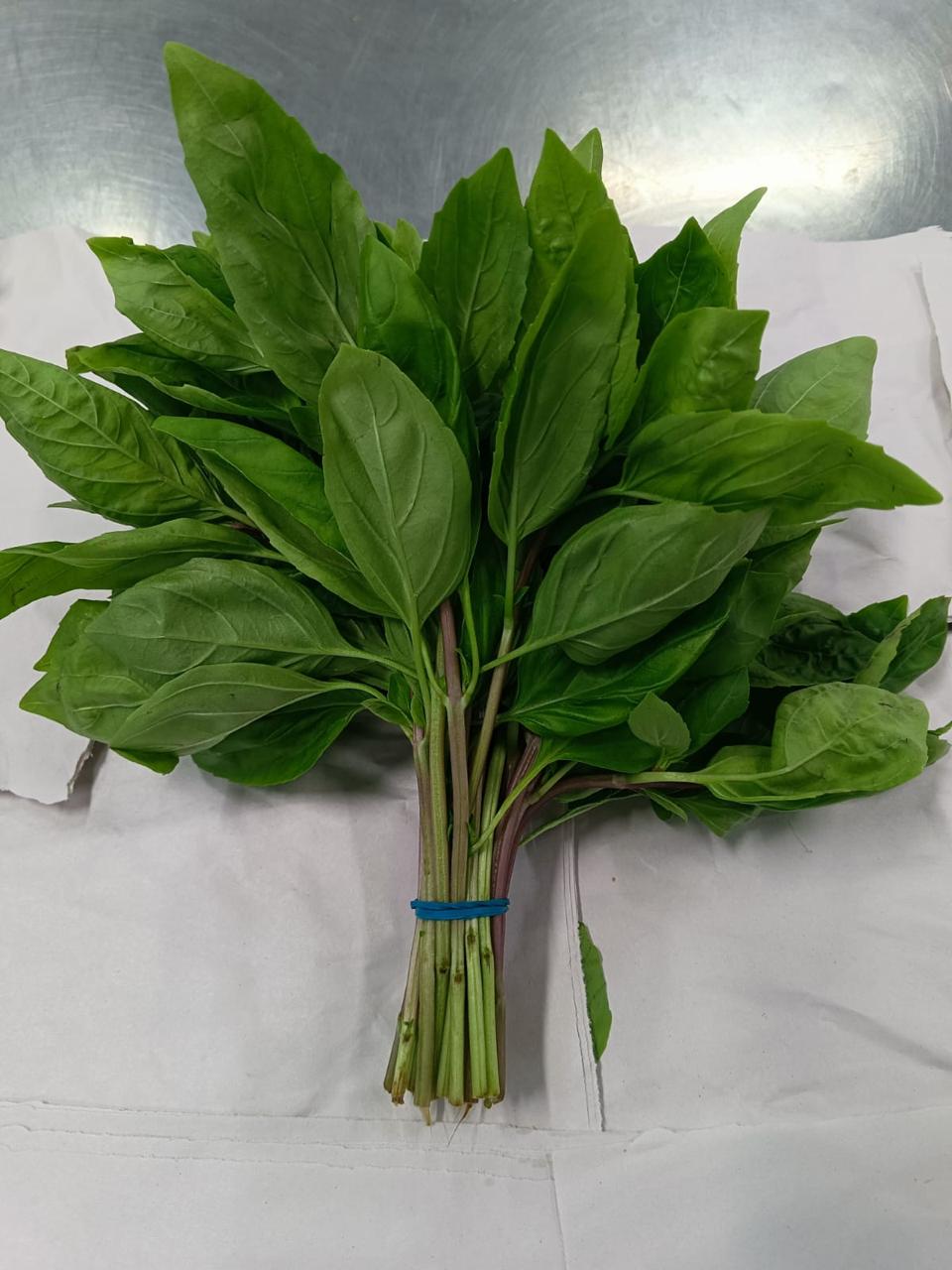 Herbs