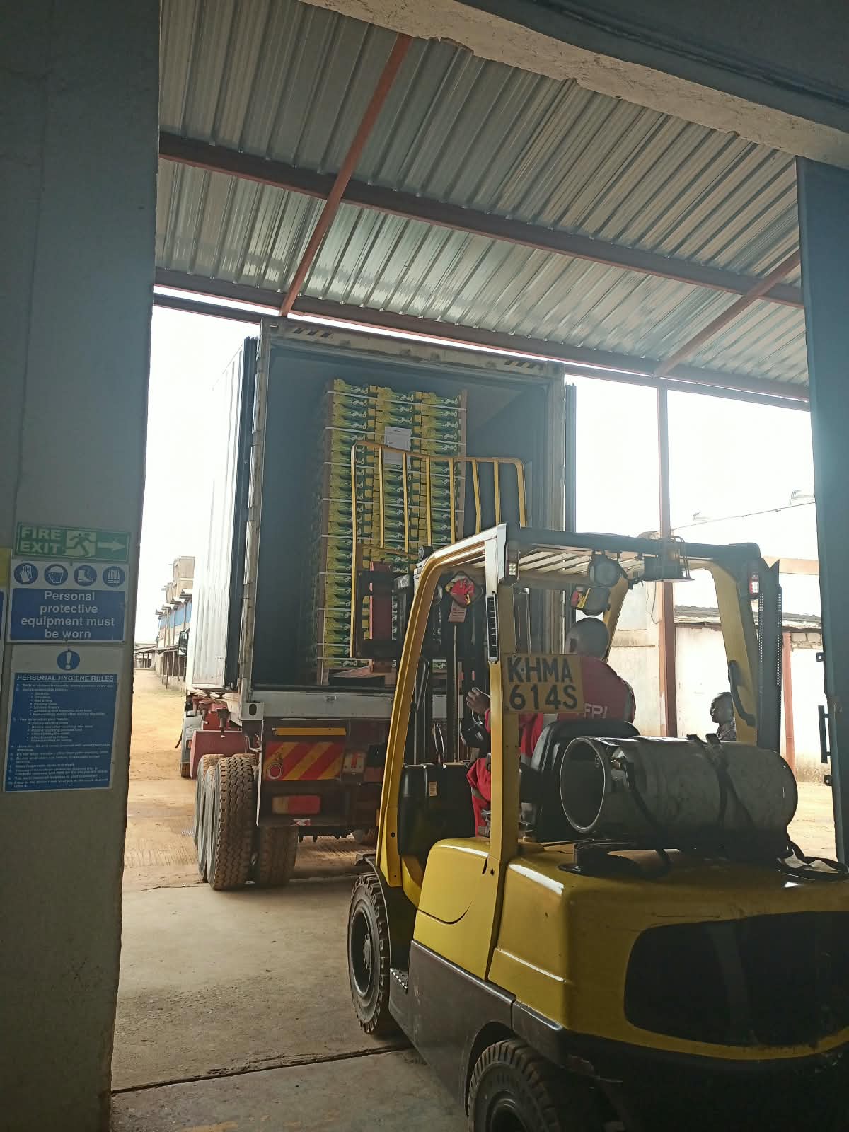 Forklift loading export pallets