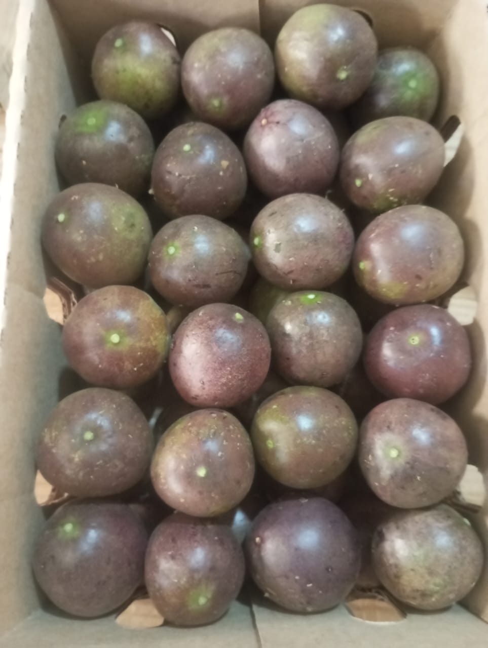 Passion fruit