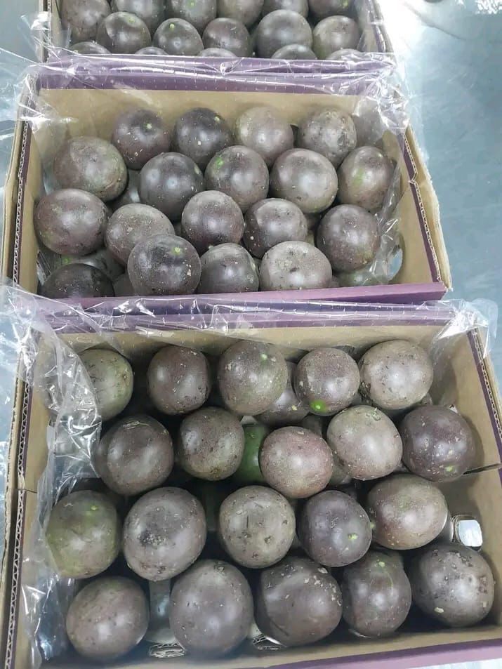 Passion fruit grading