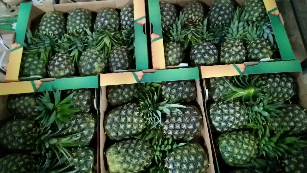 Pineapples